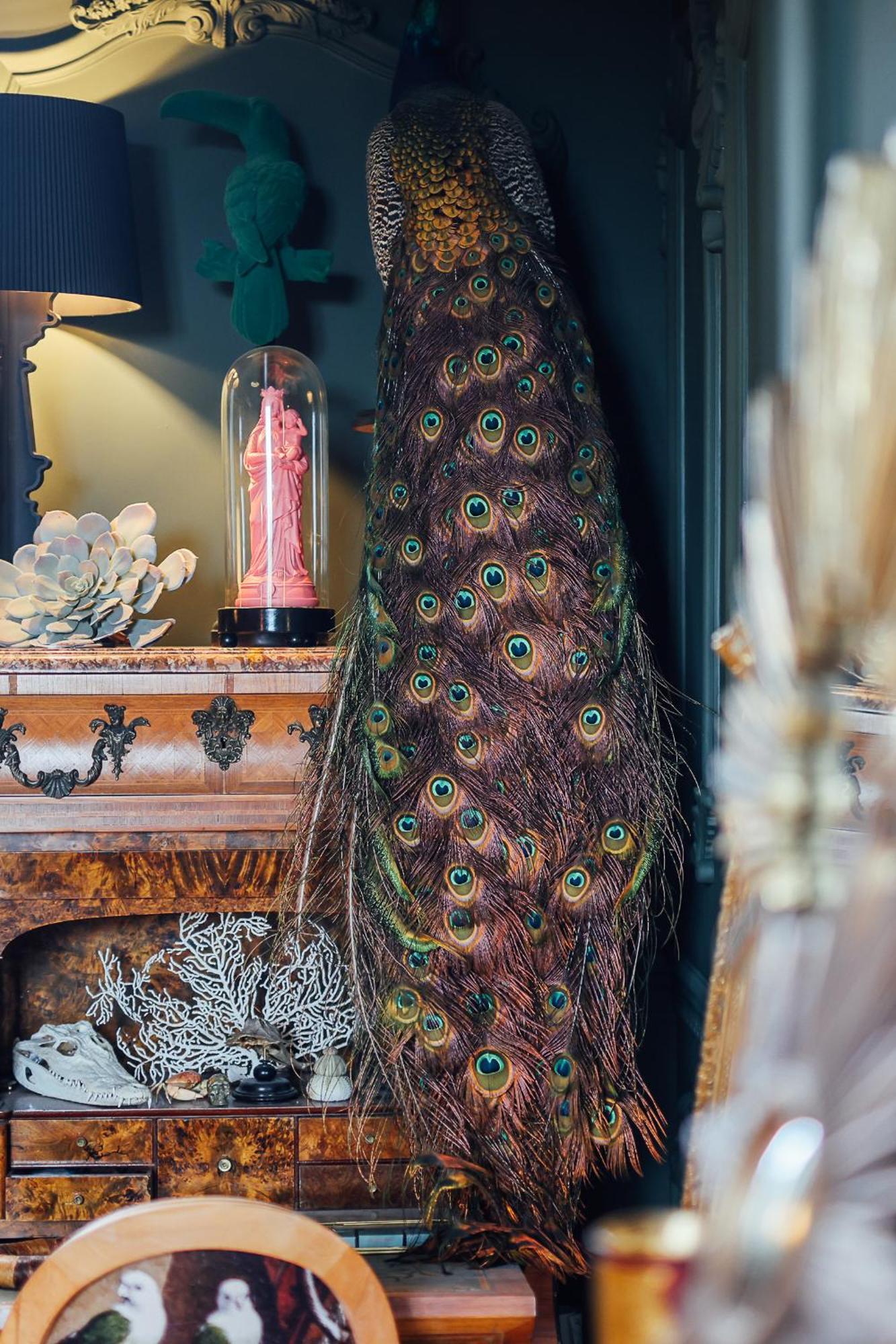 Bed and Breakfast Malouiniere Guillaume Onffroy Saint-Malo Zewnętrze zdjęcie